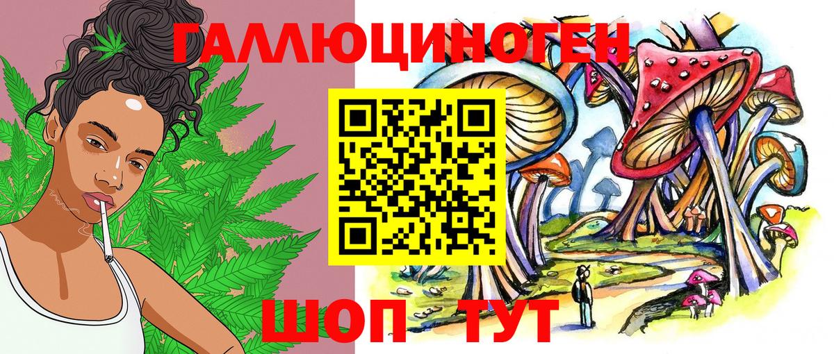 Псилоцибиновые грибы GOLDEN TEACHER Дедовск